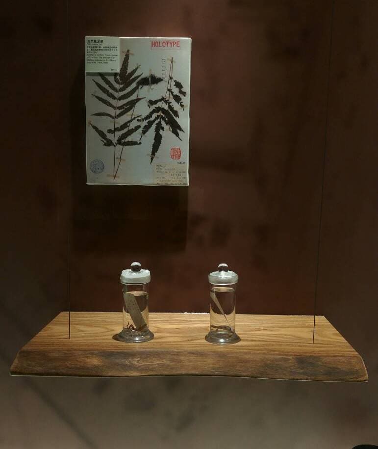 板片-179-玄關-玄關桌-非柚